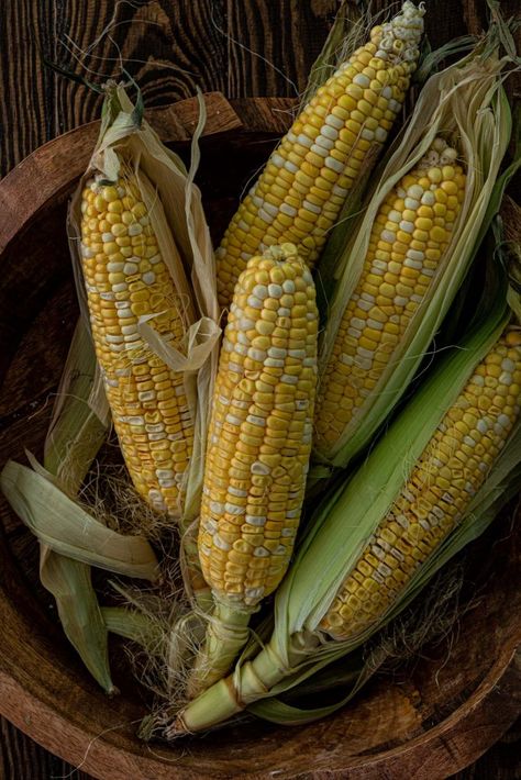 Maize